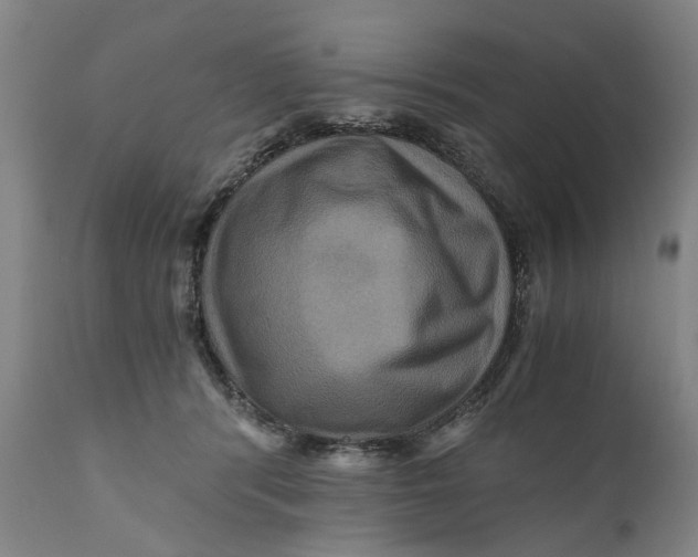 X0000111120416200907211054