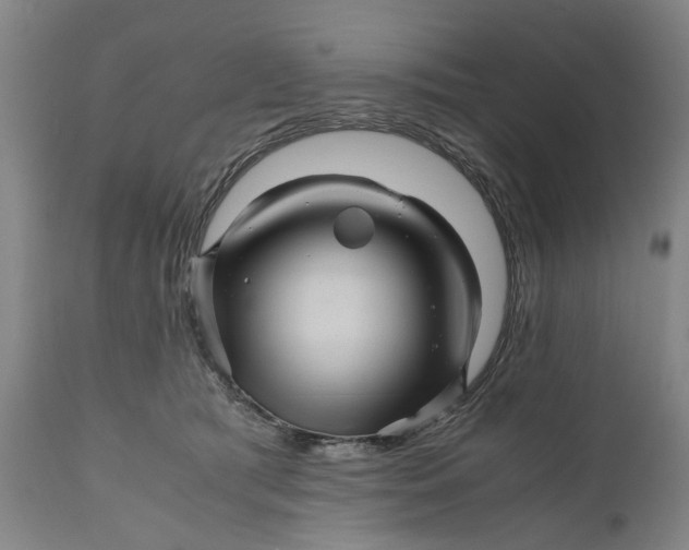 X0000111120417200907211054