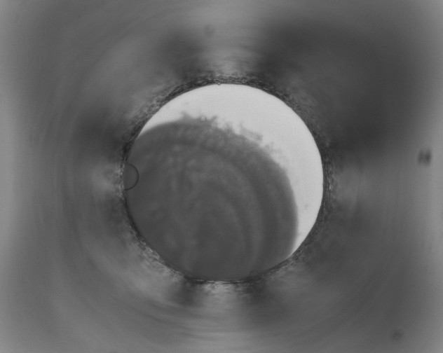 X0000111120419200907211054