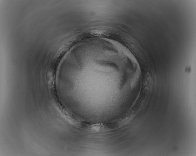 X0000111120420200907211054