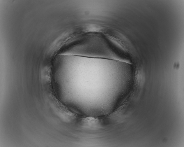 X0000111120421200907211054