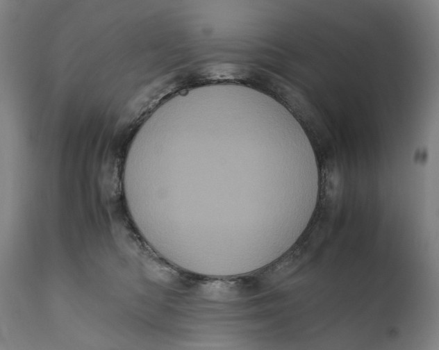X0000111120422200907211054