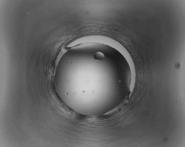 X0000111120423200907211054