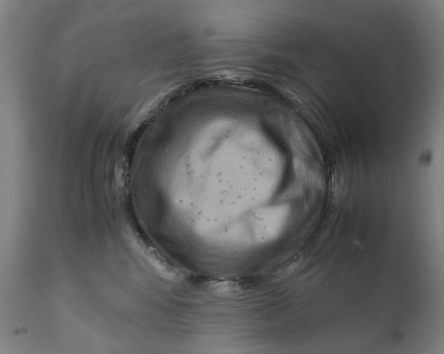X0000111120424200907211054
