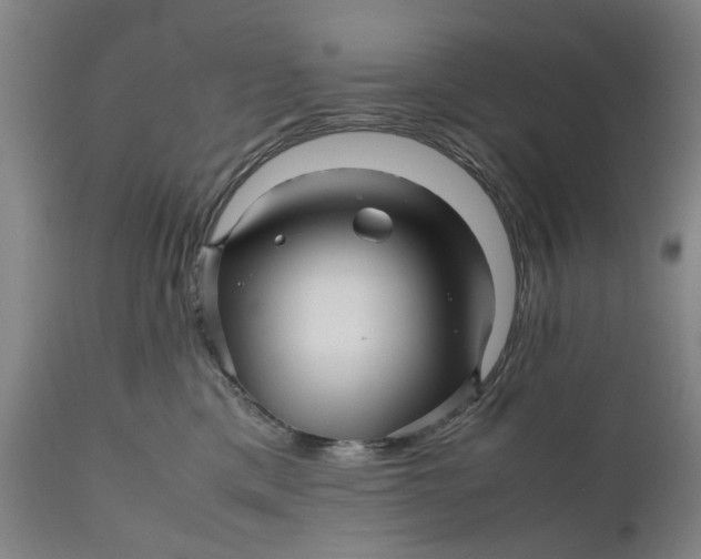 X0000111120425200907211054