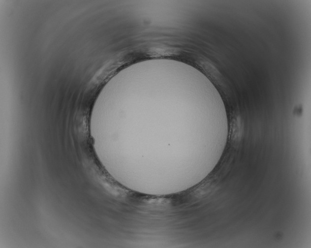 X0000111120426200907211054