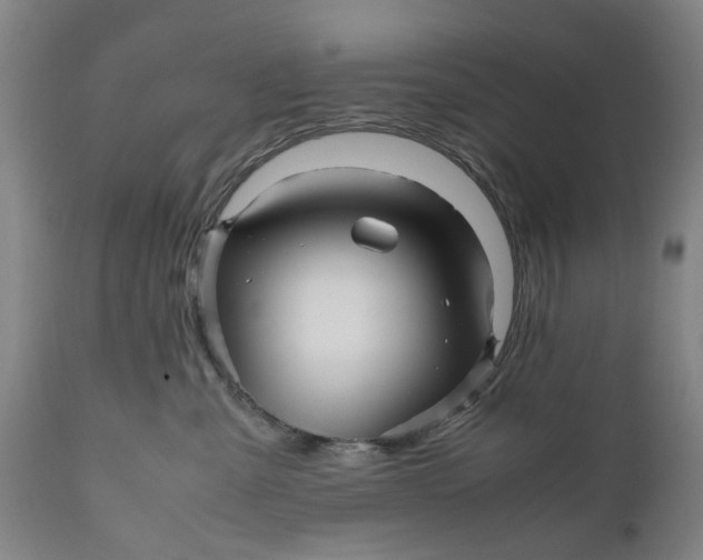 X0000111120427200907211054