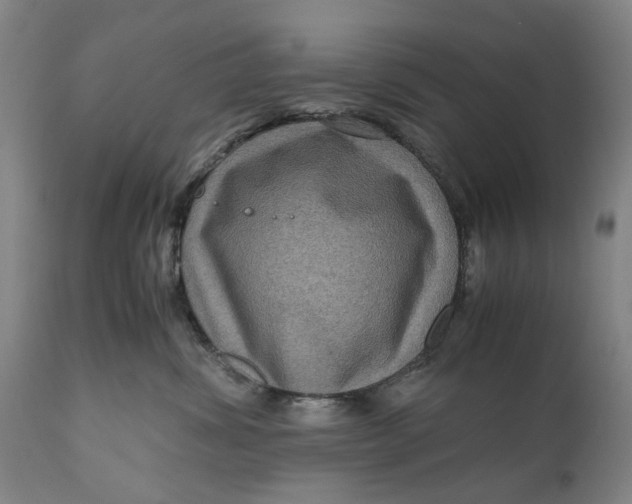 X0000111120428200907211054