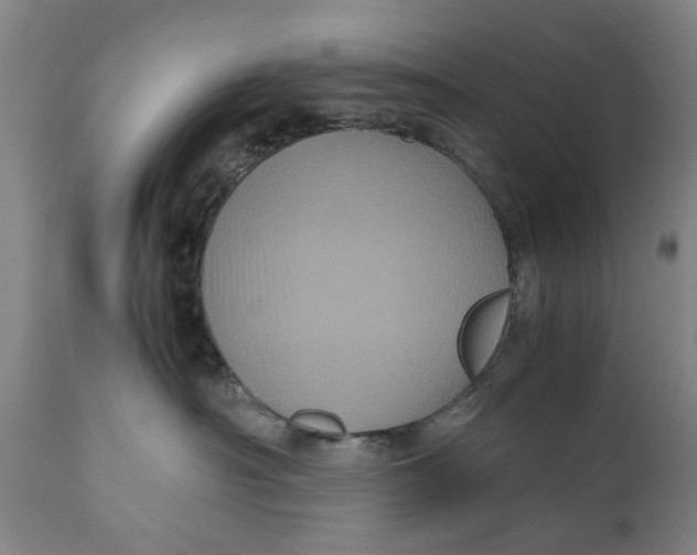 X0000111120430200907211054