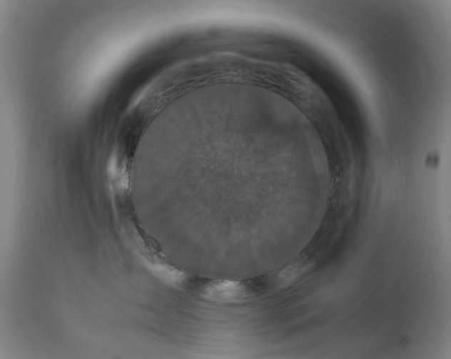 X0000111120431200907211054