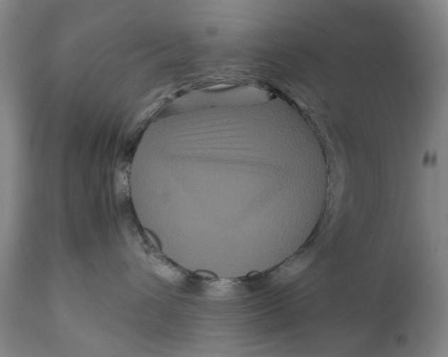 X0000111120432200907211054
