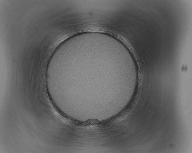 X0000111120433200907211054