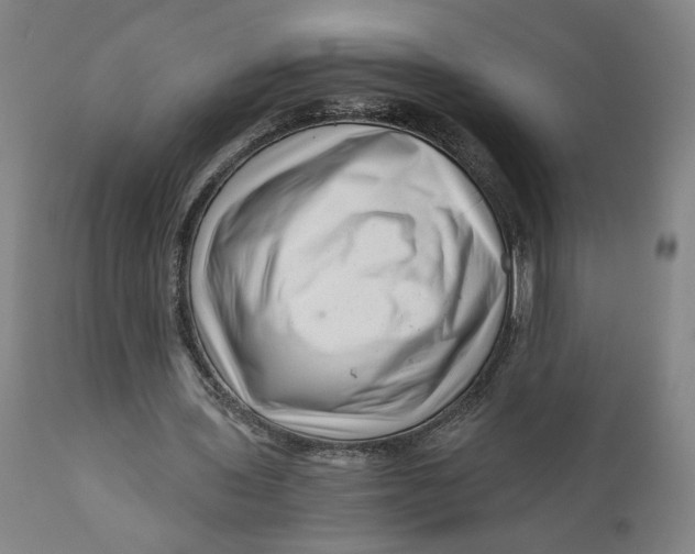 X0000111120435200907211054