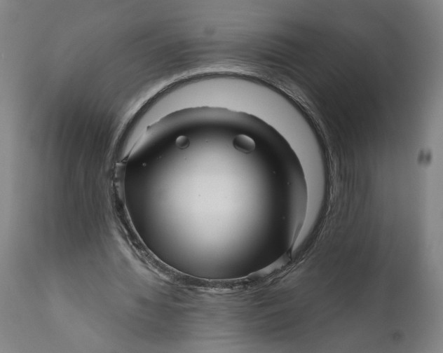 X0000111120436200907211054