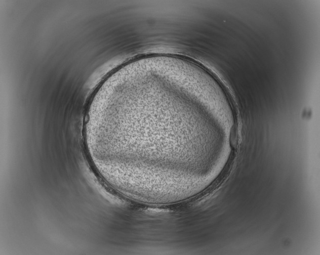 X0000111120437200907211054