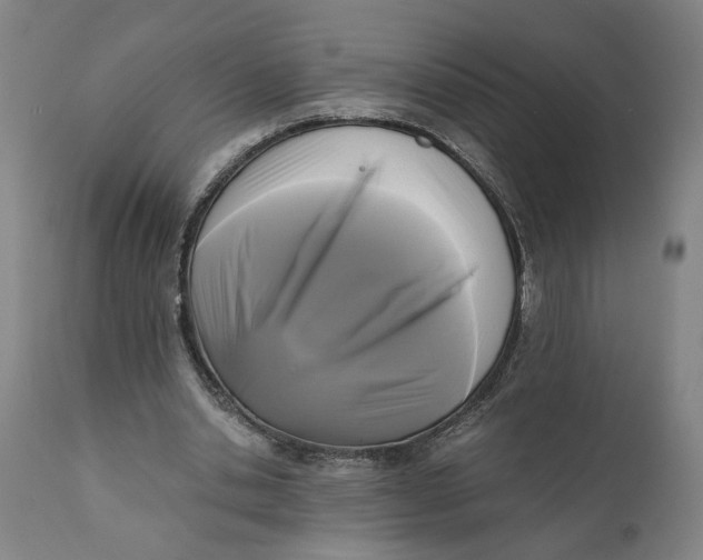X0000111120438200907211054