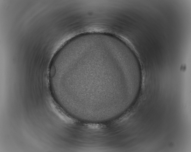 X0000111120439200907211054