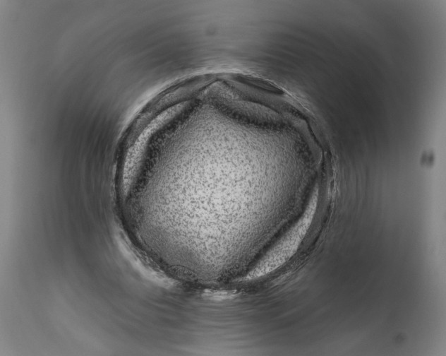 X0000111120440200907211054
