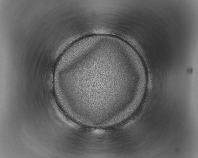 X0000111120441200907211054