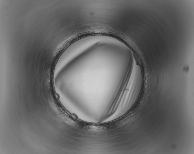 X0000111120442200907211054