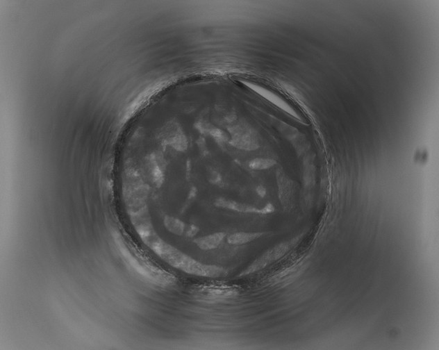 X0000111120443200907211054
