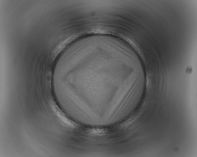 X0000111120445200907211054