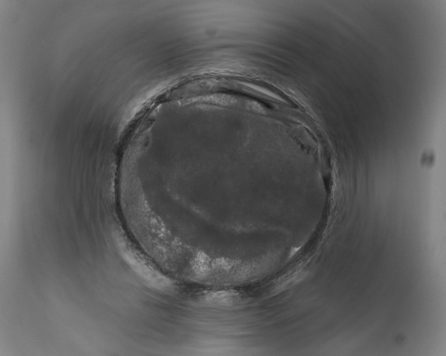 X0000111120446200907211054