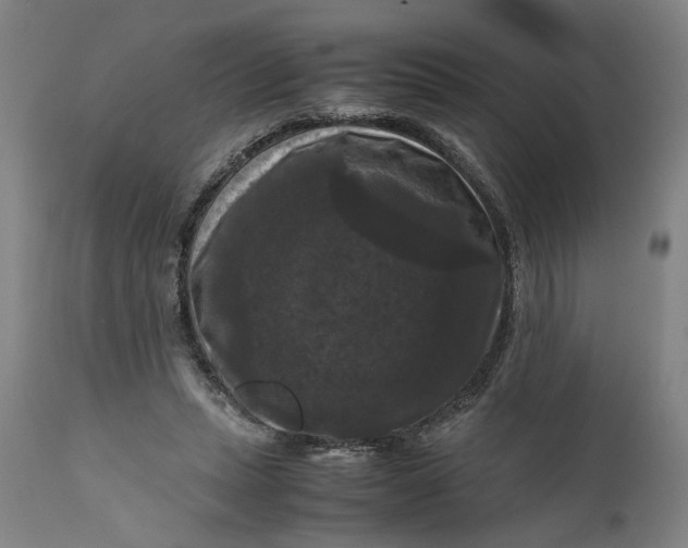X0000111120447200907211054