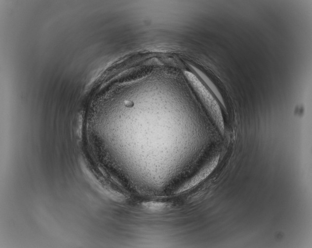 X0000111120448200907211054