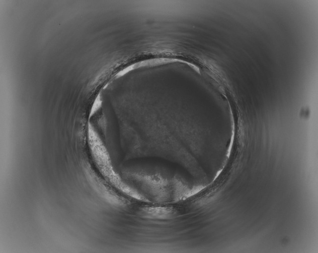 X0000111120449200907211054