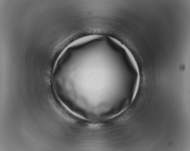 X0000111120450200907211054