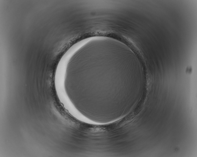 X0000111120451200907211054