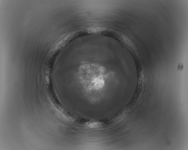X0000111120452200907211054