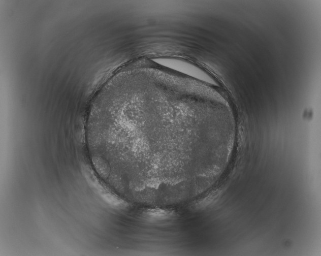 X0000111120453200907211054