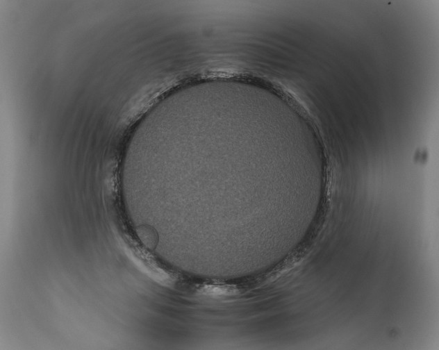 X0000111120455200907211054