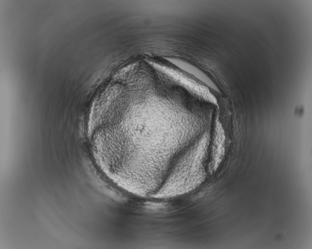 X0000111120457200907211054