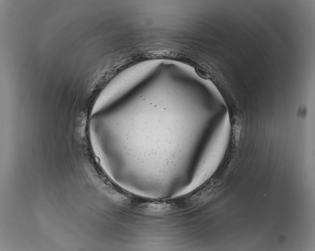 X0000111120458200907211054