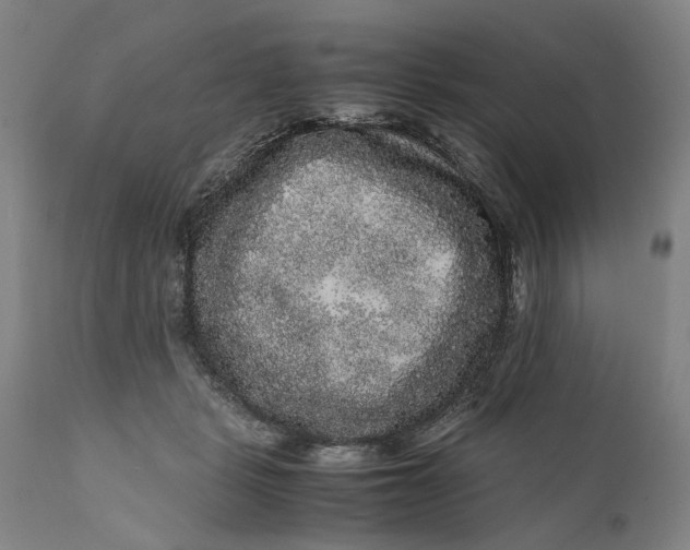X0000111120461200907211054