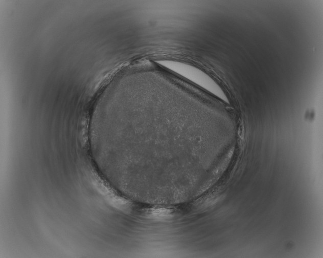 X0000111120462200907211054