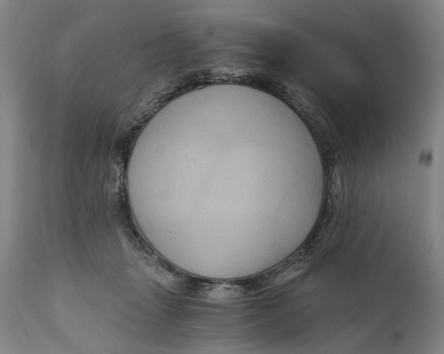 X0000111120463200907211054