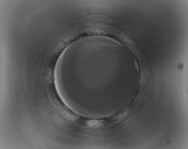 X0000111120465200907211054