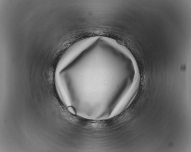 X0000111120466200907211054