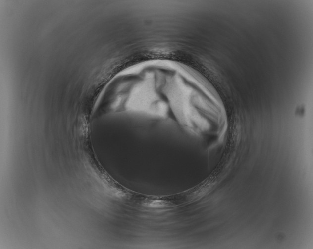 X0000111120467200907211054