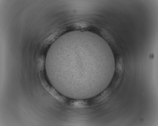 X0000111120468200907211054