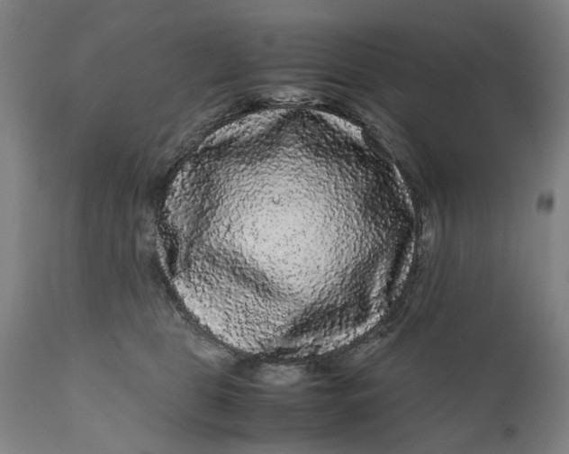 X0000111120469200907211054