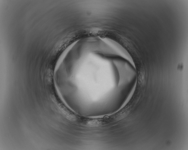 X0000111120470200907211054