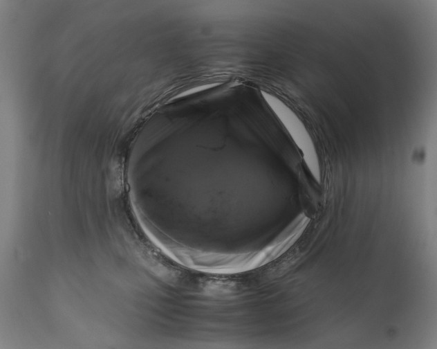 X0000111120471200907211054
