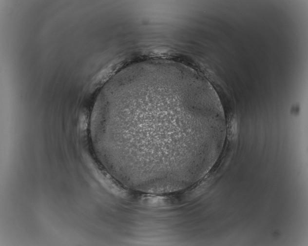 X0000111120472200907211054