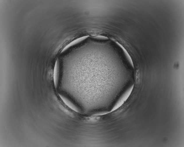 X0000111120474200907211054