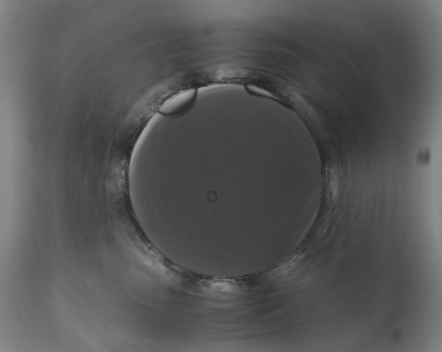 X0000111120475200907211054